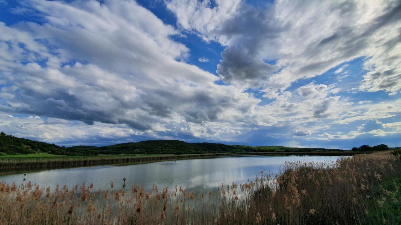 Villa Mons Aureus Popovac Exteriér fotografie