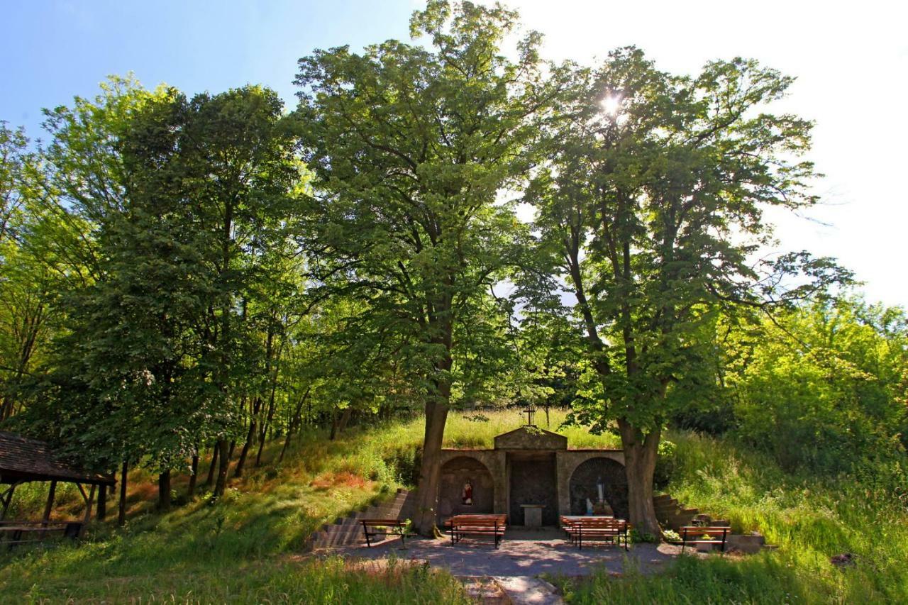 Villa Mons Aureus Popovac Exteriér fotografie