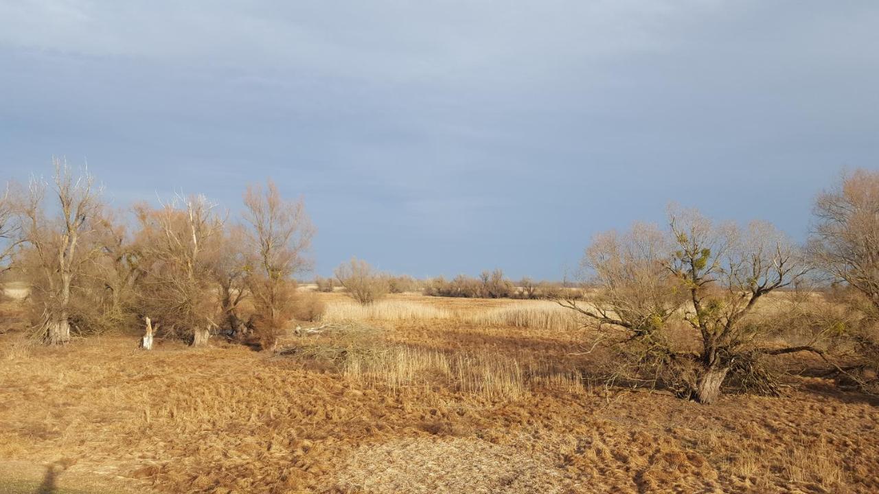 Villa Mons Aureus Popovac Exteriér fotografie
